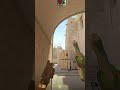 This Makes Mirage A Hits So Easy (Smoke + Molly)