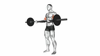 The King of Biceps Exercises Fun Facts About Biceps