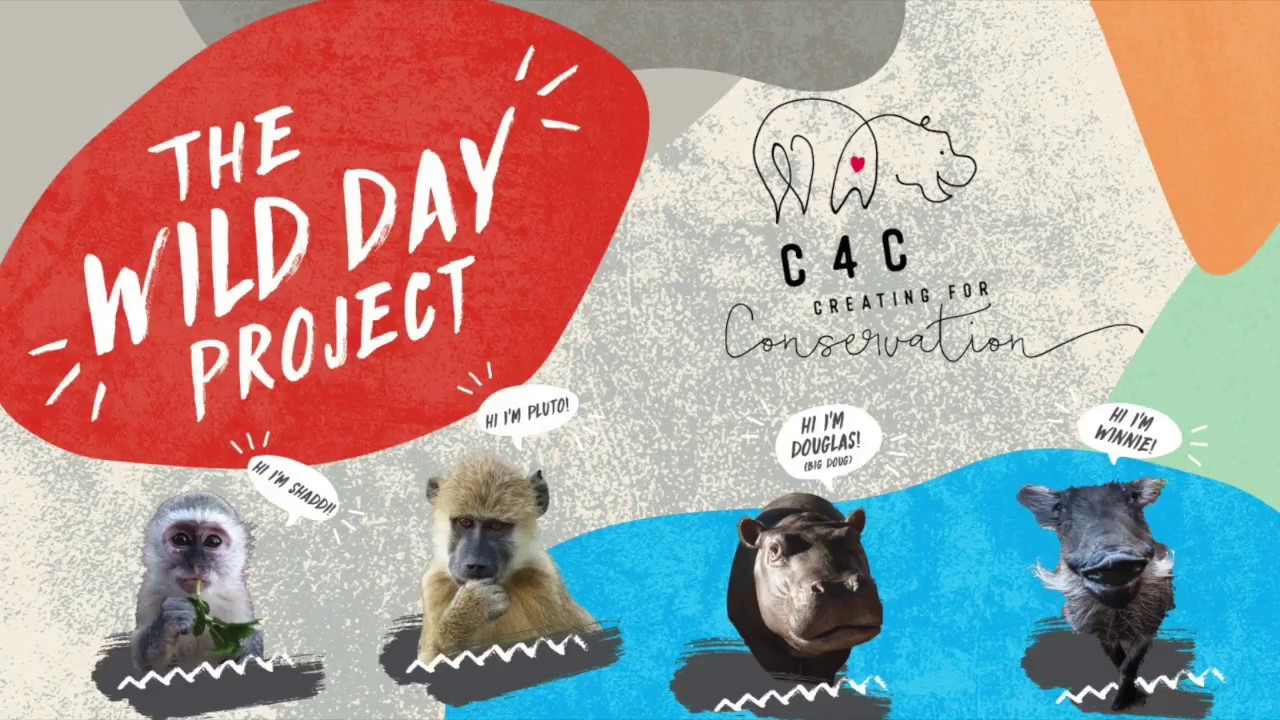 The Wild Day Project ~ Chipembele & Creating for Conservation