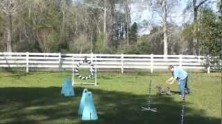 2013-03-17 Simba Tony Pattern 01