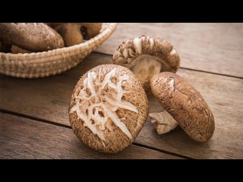 Video: Useful Properties Of Shiitake Mushrooms