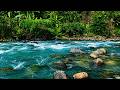 Blue Jungle River Sound for Deep Relaxation | Calm Nature Water Ambience for Sleep