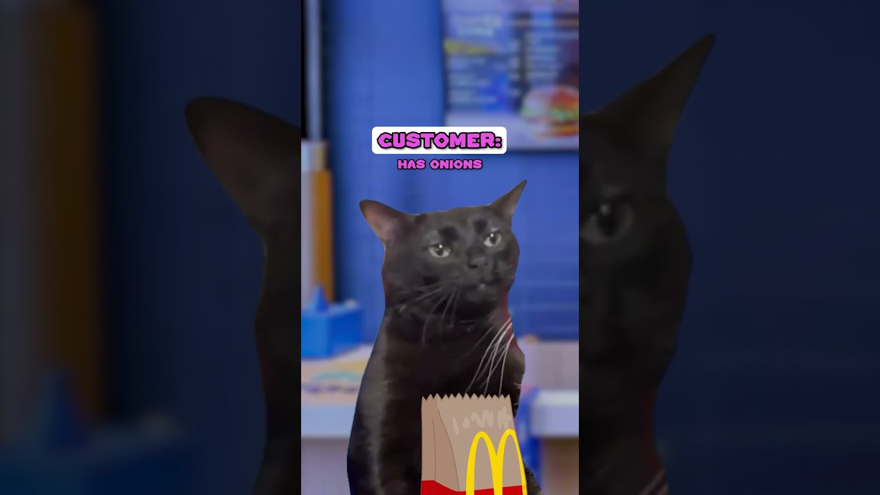 Если бы я работал в Макдоналдсе 😅 (КОШАЧЬЯ ВЕРСИЯ🐈) @JosiahSchneider 