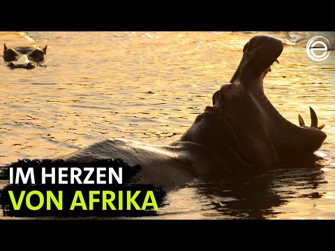Mythos Kongo – Fluss der Extreme (Teil 1) | Erlebnis Erde