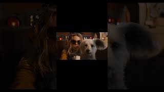 Supergirl – Official Trailer (2026) | Warner Bros. Pictures / DC Studios Part 1