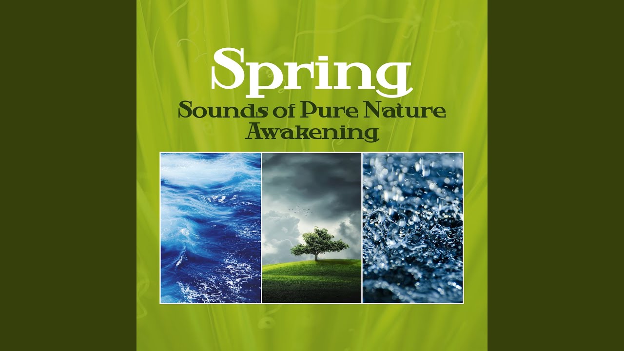 Spring Sound Spring Sounds of Pure Nature - YouTube