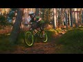 Downhill & Freeride: Bikes Rigida