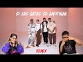 Si Las Gatas Se Amotinan REMIX Peipper Doble P Pedro Sampaio Jombriel Locura Mix REACCIГ N рџ Ґ Si Las Gatas Se Amotinan REMIX Peipper Doble P Pedro Sampaio Jombriel Locura Mix REACCIГ N рџ Ґ