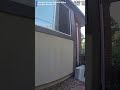 Deer Rescued from Tomato Cage Reel