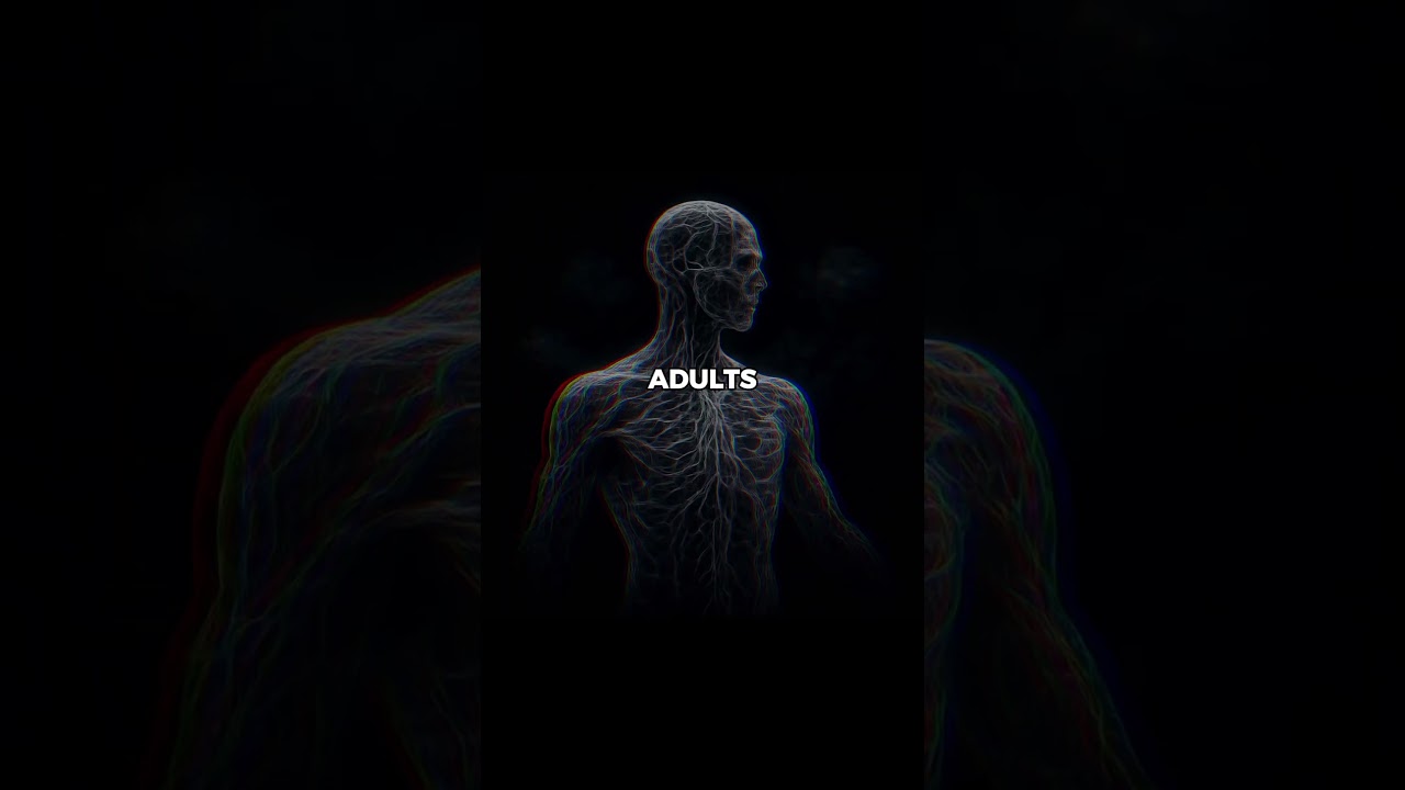 the default mode network explained scientifically 