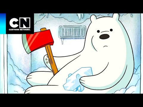 Vídeo: O urso polar é o irmão mais novo do urso pardo