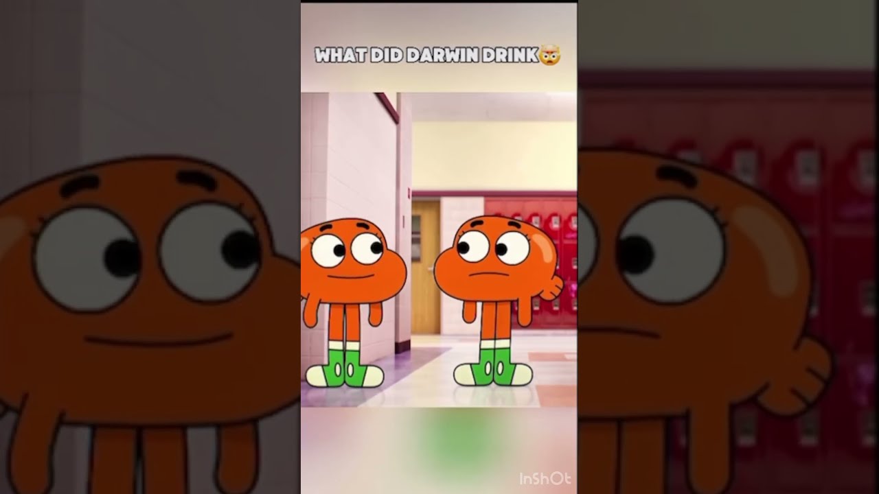 What Did Darwin Drink Gumball Shorts