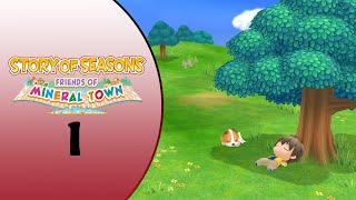 Story of Seasons Friends of Mineral Town Stream 1
