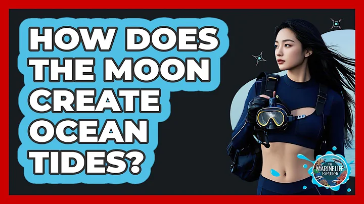 How Does The Moon Create Ocean Tides?