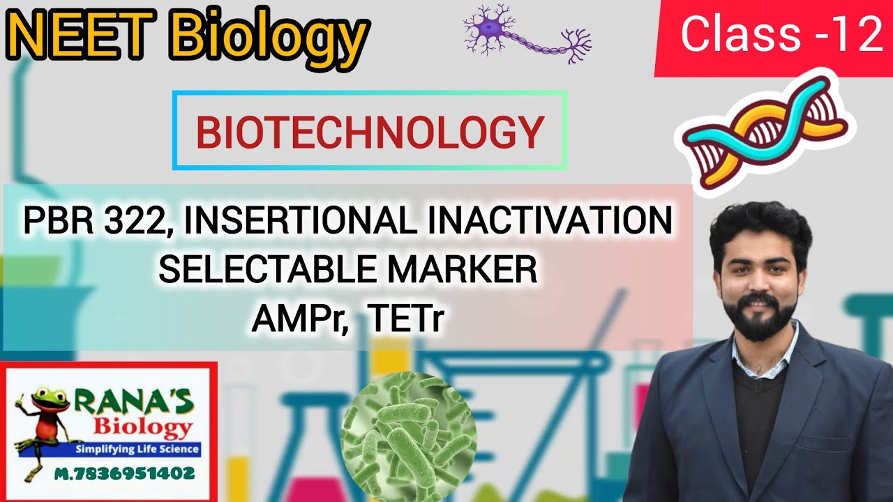 CLASS 12|CHAPTER 11| BIOTECHNOLOGY|PBR 322|INSERTIONAL INACTIVATION| SELECTABLE MARKER|AMPr | TETr