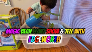 MAGIC BEAN PLANT SHOW & TELL WITH EDGEWORTH