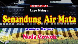 Lagu Pop Melayu - SENANDUNG AIR MATA NADA COWOK - KARAOKE