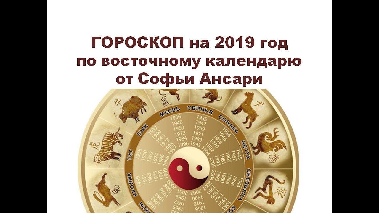 Восточный календарь 2019. Гороскоп для знаков зодиака на 2019 год. Восточные символы. Какой год был 2019 по гороскопу.
