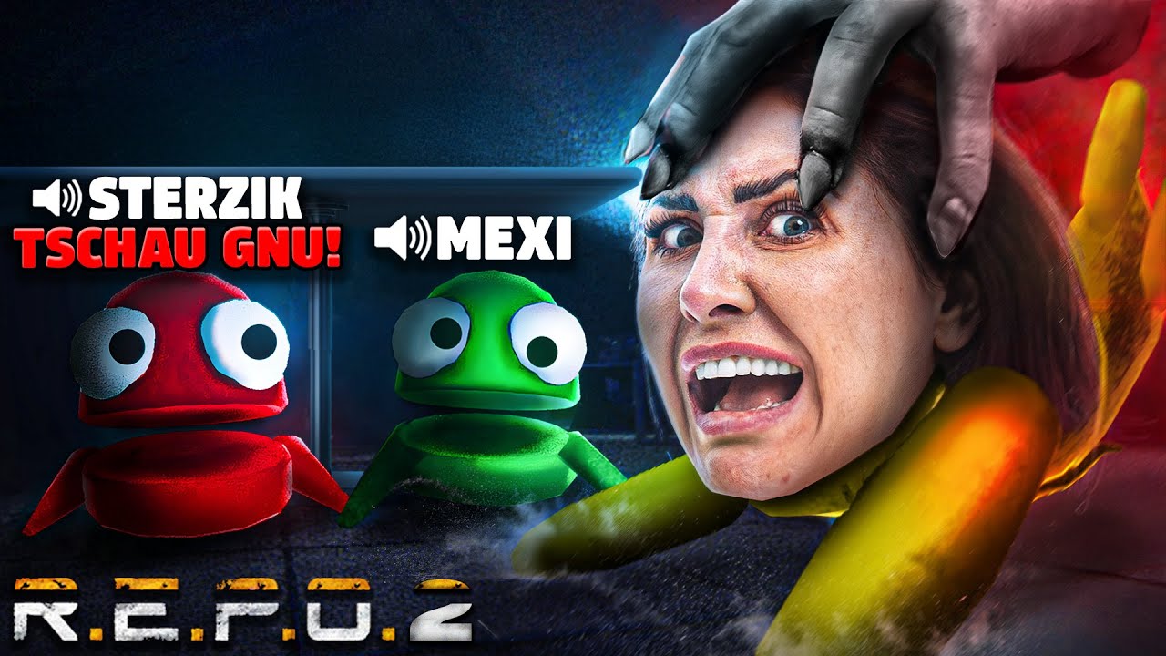 Du brauchst keine Feinde wenn du Mexi und Sterzik kennst! R.E.P.O