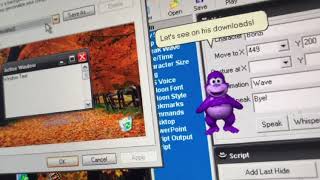 Bonzi tells about Themes