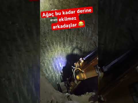 Şeftali ağacı dikeceklere duyurulur. Bu kadar fazla kazmaya gerek yok. 😀