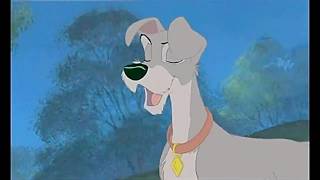 Lady And The Tramp II: Scamps Adventure: Tramp (Filters)