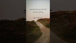 ١٤ ديسمبر ٢٠٢٥