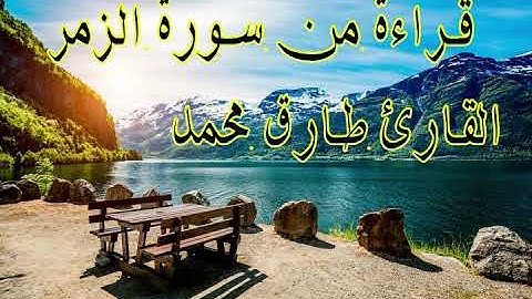 قراءة من سورة الزمر ❤️ القارئ طارق محمد ❤️ Tareq Mohamed