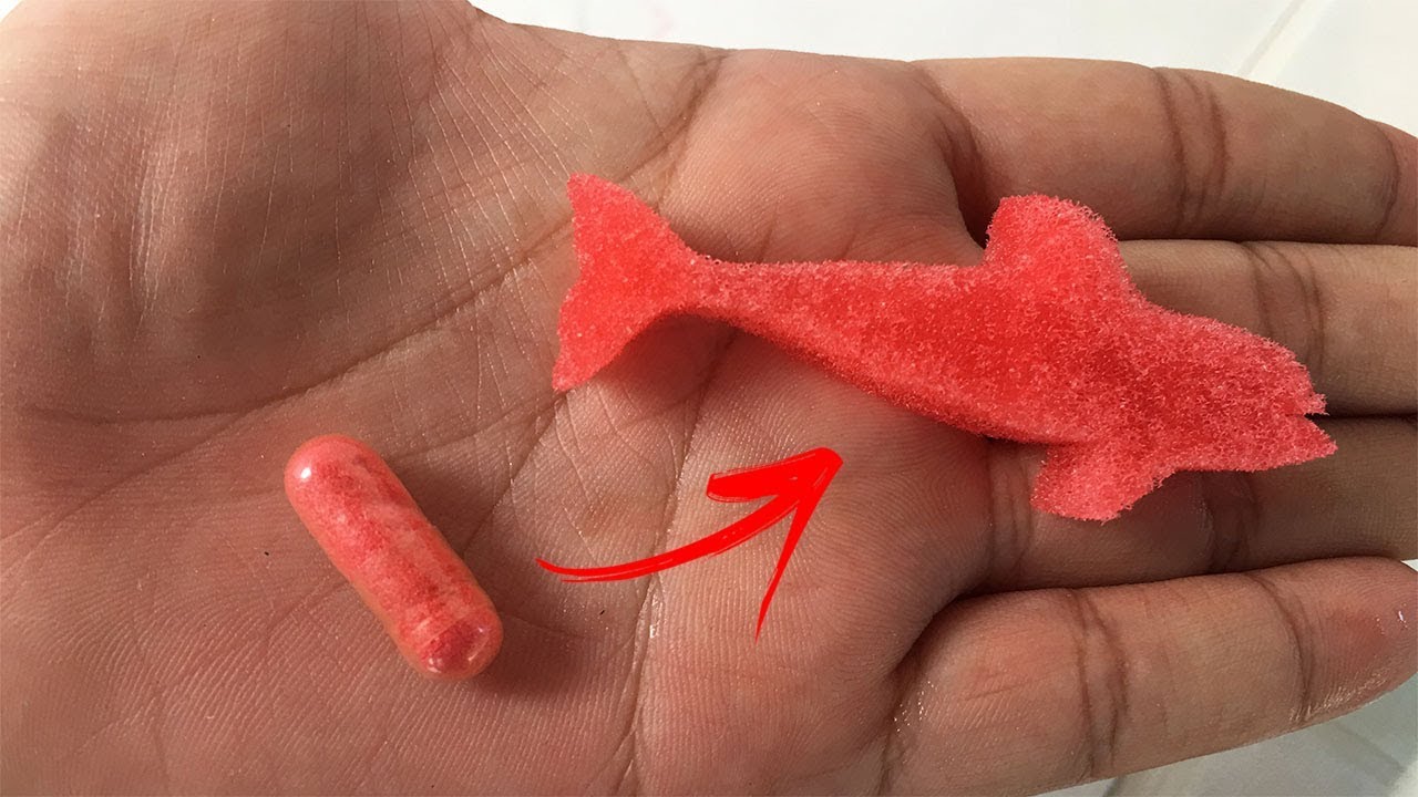 AS CÁPSULAS QUE SE TRANSFORMAM EM ANIMAIS MARINHOS NA ÁGUA!