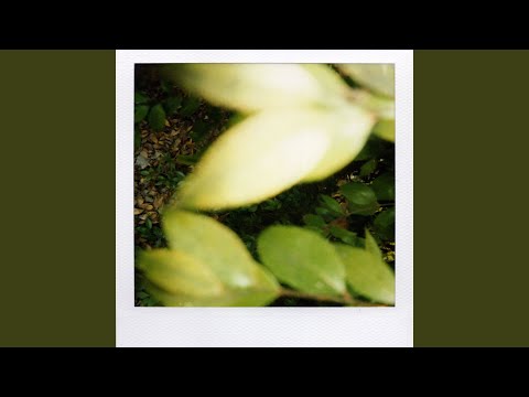 resolving auf YouTube ansehen resolving auf YouTube ansehen