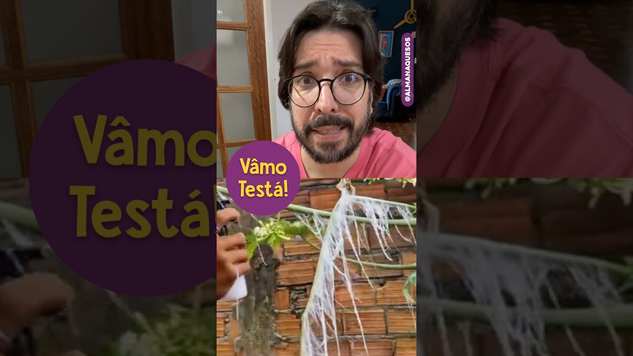 TESTE: Teia do Homem Aranha