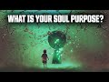 What is Your Soul Purpose &amp; Being in the Flow Mode