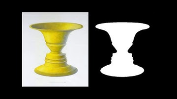 The math behind optical illusions Oscar, Amelie and Juliette