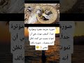 صورة حزينة معبرة ومؤثرة جدا أصعب موت هي أن تموت بسبب من كنت تظن Music اكسبلور الظروف العظماء 