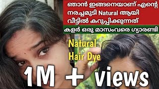 Natural Hairdye at home 💯% Result for all #natural #hairdye #athome #inmalayalam #prematuregreyhair screenshot 1