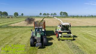 Gras hakselen 2026 | Wierda | Chopping grass | Grassilage | Claas | Fendt | Holaras | Liebherr