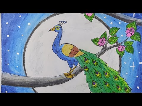Simple Colorful Peacock Drawing with Colour Easy Drawings for Kids Hi guys!  Hope you enjoy … | Peacock drawing, Easy drawings for kids, Peacock drawing  with colour