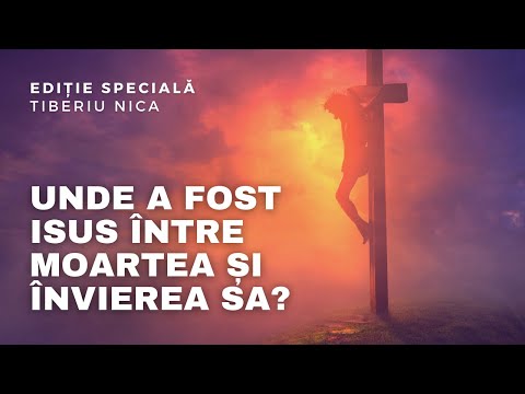 Video: A fost sensul cuvântului relaționat?