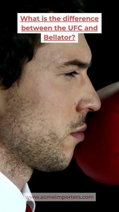 what-is-the-difference-between-the-ufc-and-bellator-youtube