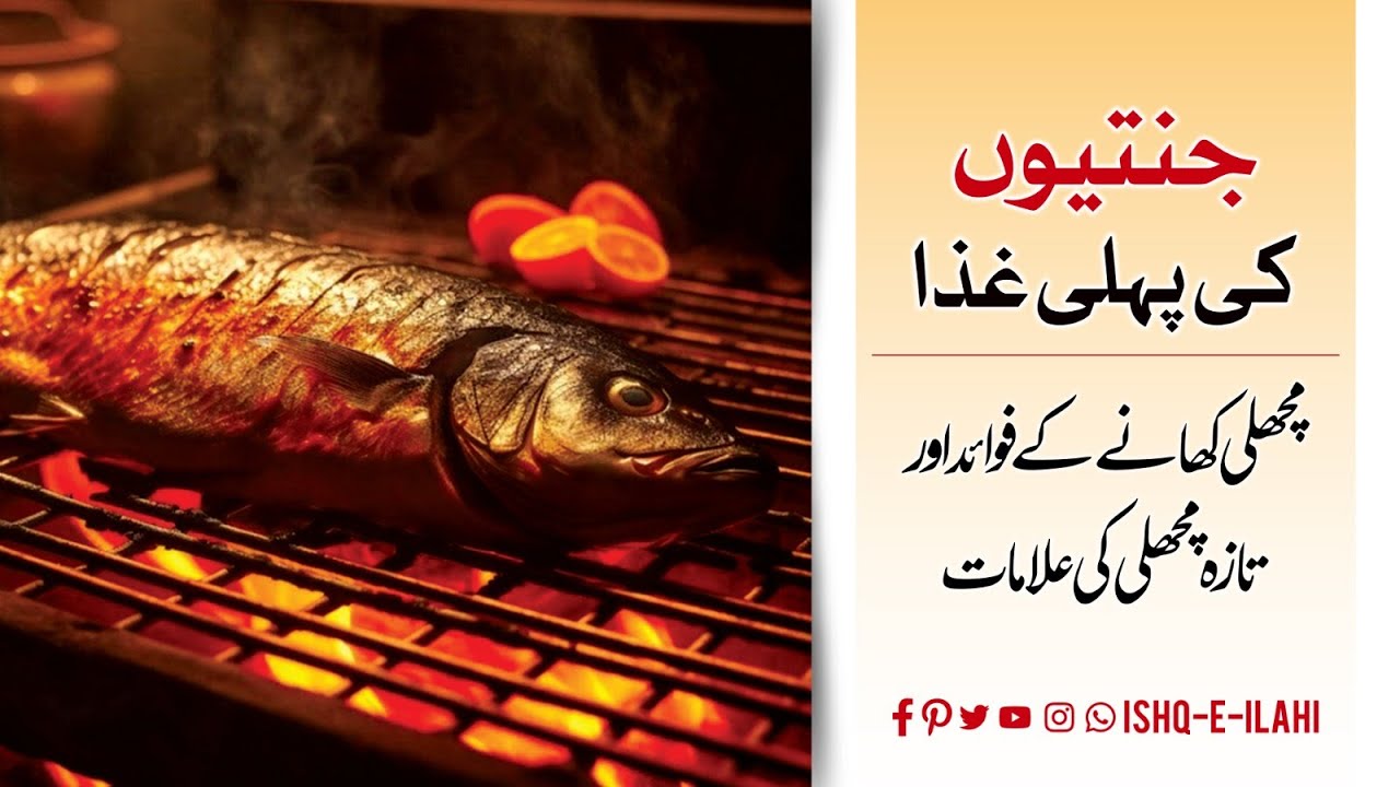 Jannat Ki Pehli Ghiza Machli (Fish) Khane Ke Fayde | Fish : Side Effects , Health Benefits In Winter
