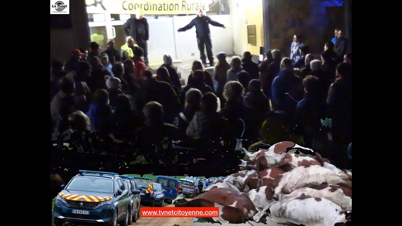 La Coordination rurale et la Confédération Paysanne disent NON aux massacres  des vaches vaccinées