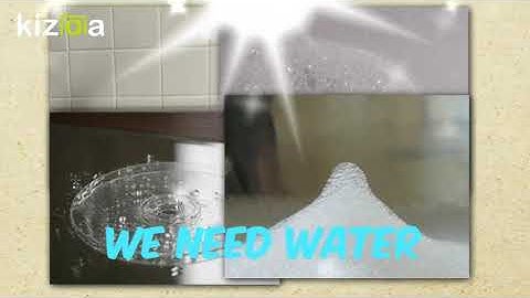 Kizoa Movie - Video - Slideshow Maker: Adelka Dohnalová - save water