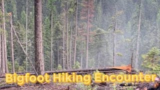 True Life Bigfoot Encounter | Sasquatch Exploration Story | Photo Evidence | Story Telling