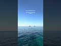 you never regret ocean plans