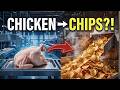 How to make chips form chicken in factory | #factory #chips
