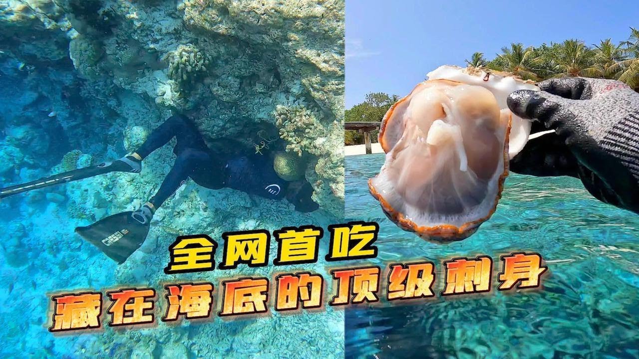 《马代·居民岛》第9集:今天是荒岛生存的第4天，全网首吃藏在海底的顶级刺身 #环球旅行 #maldives #马尔代夫 #刺身 - YouTube