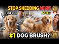 Best SleekEZ Dog Brush for Shedding To Buy Review (Unbelievable Results!)