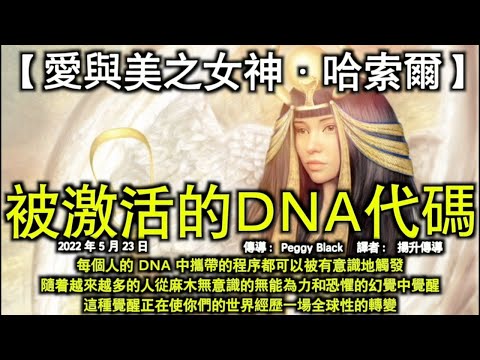 被激活的DNA代碼【愛與美之女神·哈索爾】每個人的 DNA 中攜帶的程序都可以被有意識地觸發。隨着越來越多的人從麻木無意識的無能為力和恐懼的幻覺中覺醒，這種覺醒正在使你們的世界經歷一場全球性的轉變