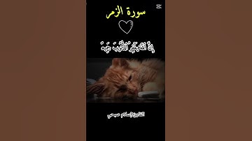 قل يا عبادي الذين اسرفوا على انفسهم لا تقنطوا من رحمة الله ..❤️‍🩹سورة الزمر 🌻 #قران_كريم #المصحف
