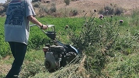 BCS Walk behind tractor with sickle mower (talk thistles and grass)